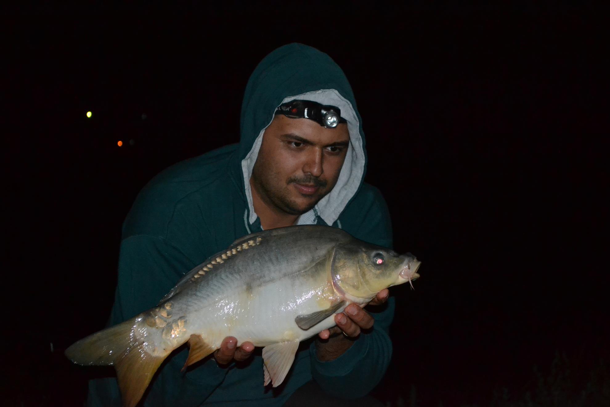 Hermes Peris 5 - 6 septembrie 2014 - dsc0964.JPG